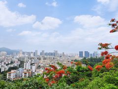 -炮台山公园