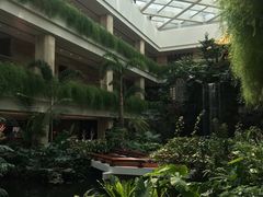 -白天鹅宾馆·月兔吧