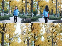 -百林公园-两江幸福广场