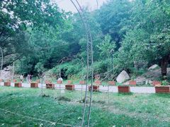 -秦岭终南山世界地质公园翠华山景区