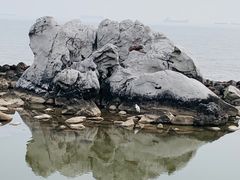 -上海吴淞炮台湾国家湿地公园