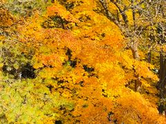 -长白岛森林公园