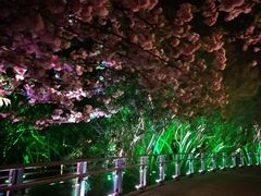 -苏州河梦清园环保主题公园