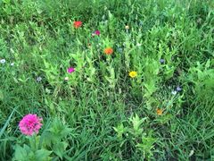 iphone_upload_pic-水韵湾生态农庄