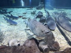 -福州罗源湾海洋世界旅游区