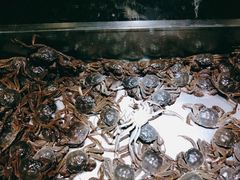 -欢乐牧场海鲜烤肉自助(牡丹园店)