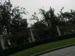 android_upload_pic-国家图书馆·古籍馆