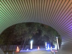 -枫花园汽车电影院(朝阳公园店)