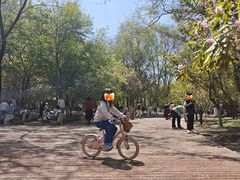 -长白岛森林公园
