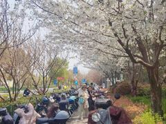 -正大乐城-停车场
