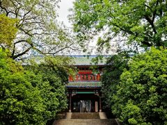-灵谷景区