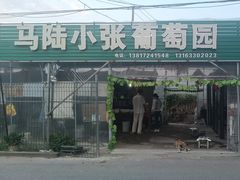 -马陆小张葡萄园农家乐