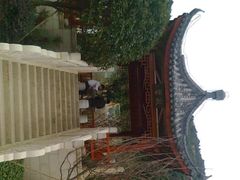 景点-阳台山森林公园
