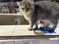 -听TA说宠咖·宠物生活馆(天韵水岸店)
