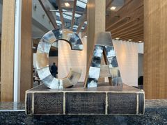 -虹桥机场国航贵宾室v8