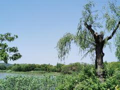 -无锡蠡湖国家湿地公园-蠡园