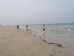 -贝壳沙滩