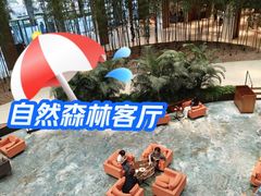 -北京望京凯悦酒店The Lounge大堂酒廊