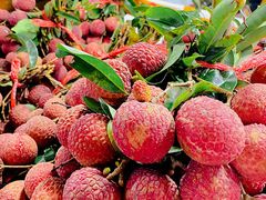 -港华水果街(港华广场店)