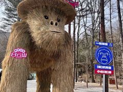 -洛阳白云山景区