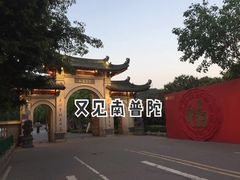 -南普陀素饼