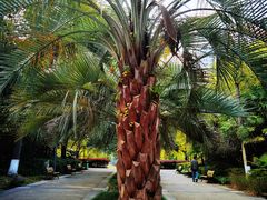 -苏州河梦清园环保主题公园