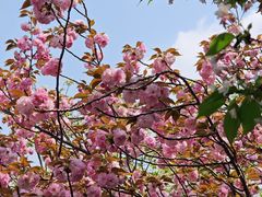 -上海交通大学(闵行校区)