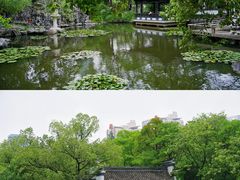 -浮庄