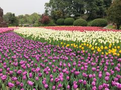 -上海鲜花港