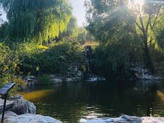 -北京西山国家森林公园