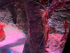 -沈阳海洋探索中心