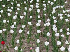 -长春公园(普阳街道)