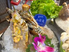 -海月轩海鲜豆捞(紫金塔店)