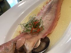 野生红带鱼-涵苑私宴定制(外滩店)