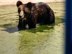 -鄂尔多斯野生动物园