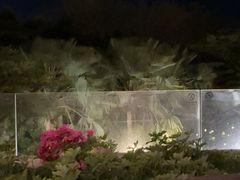 -三亚海棠湾仁恒皇冠假日酒店·大堂吧