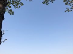 -威克特披萨汉堡