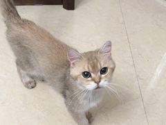 -瑞鹏瑞爱宠物医院·全科·猫科·血液透析中心(龙头寺店)