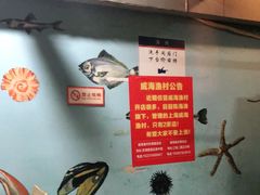 -威海渔村(静安旗舰店)