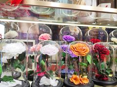 -Olé精品超市(上海虹桥南丰城店)