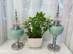 -悦色嘉丽科技美肤健康管理