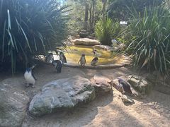 -费瑟代尔野生动物园