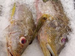 -NSK Trade City(Kuchai Lama)