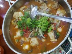 -全乐鱼馆·淳牌有机鱼直营店
