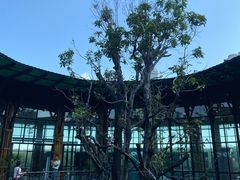 -The Ring Pavilion 魔幻森林