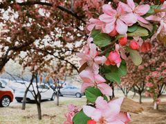 -蓝地时尚庄园(北京清河营地铁站店)