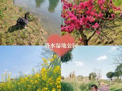 -望江楼公园