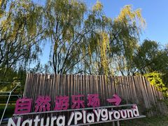 -圣露庄园·露营·烤肉·亲子