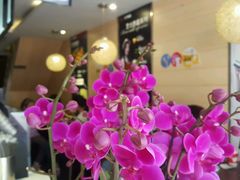门面-王子拉茶(岁宝益田店)