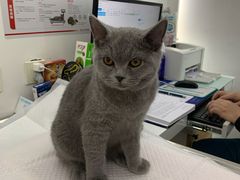 -北京恒爱动物医院(清景园分院)